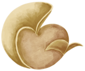 formas-el-32