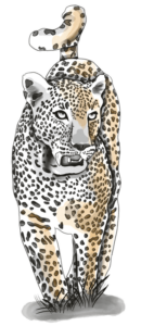 leopardos-el-10