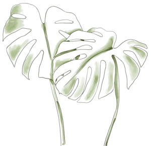 leopardos-el-19