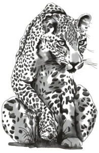 leopardos-el-2
