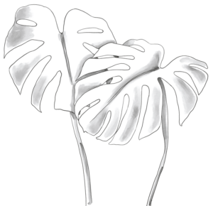 leopardos-el-20
