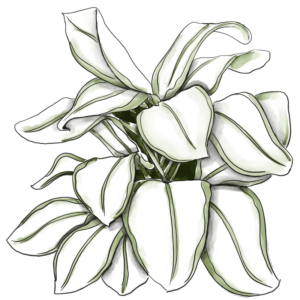 leopardos-el-23