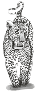 leopardos-el-9