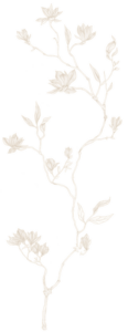 nacar-el-1