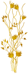 gold-el-1
