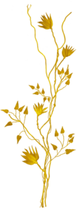 gold-el-2