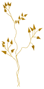 gold-el-3