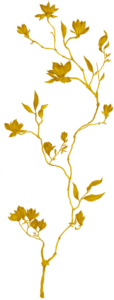 gold-el-4