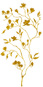 gold-el-5