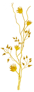 gold-el-7