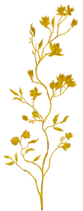 gold-el-8