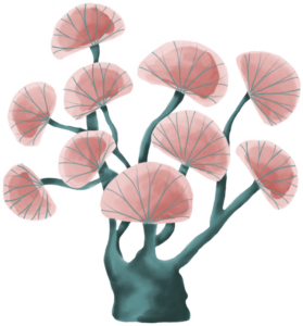 ecos-el-13