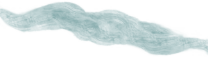 ecos-el-19