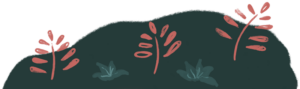 ecos-el-20