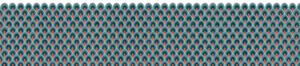 ecos-el-29