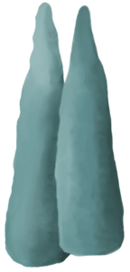 ecos-el-4