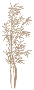 nacar-el-13