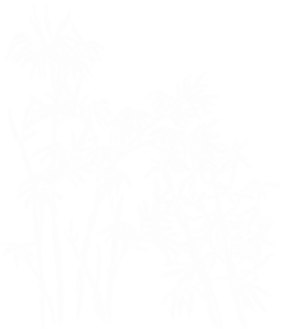 nacar-el-14
