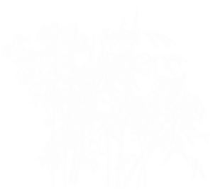 nacar-el-18