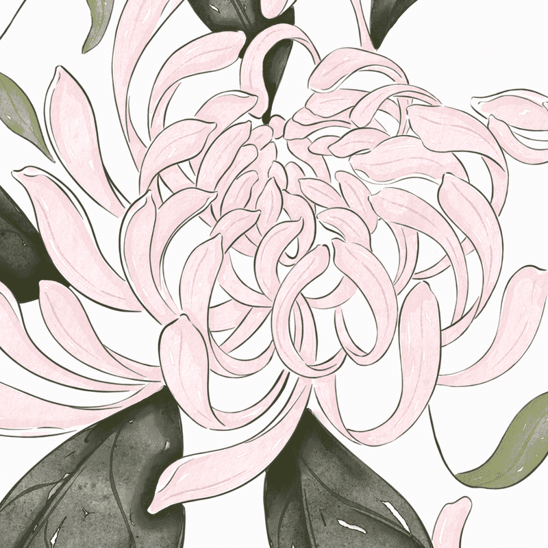 papel pintado floral flores rosas hojas oscuras